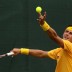 Bernard Tomic serves