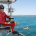 Great Barrier Reef Trophy Tour