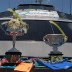 Great Barrier Reef Trophy Tour