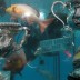 Great Barrier Reef Trophy Tour