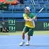 Matt Ebden at Davis Cup