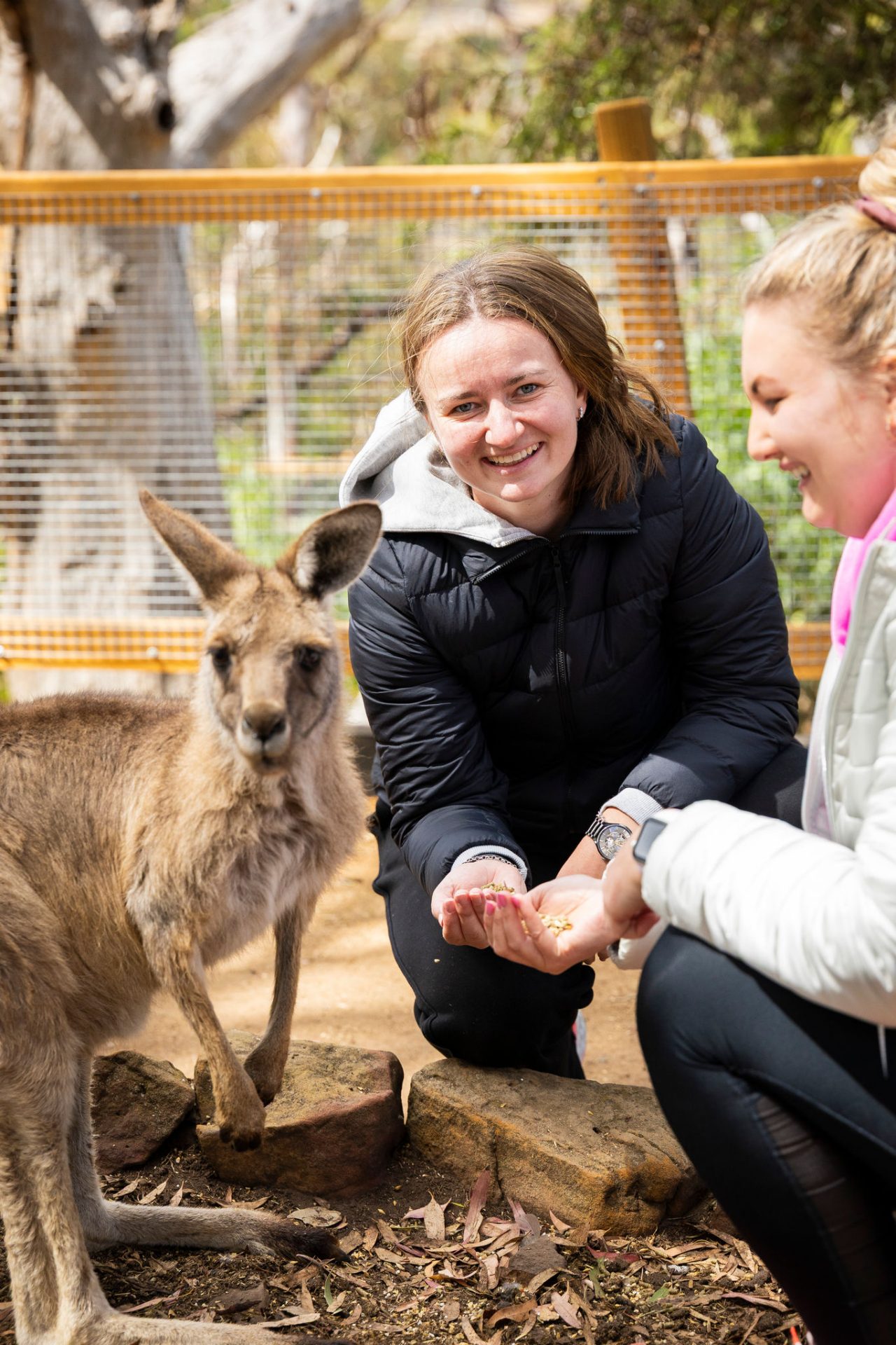 January 11: Barbora Krejcikova (CZE). Players visit Bonorong Wildlife Sanctuary before the Main Draw in the Hobart International, at The Domain Tennis Centre on Sunday, January 11, 2026. Photo by TENNIS AUSTRALIA/RICHARD HO