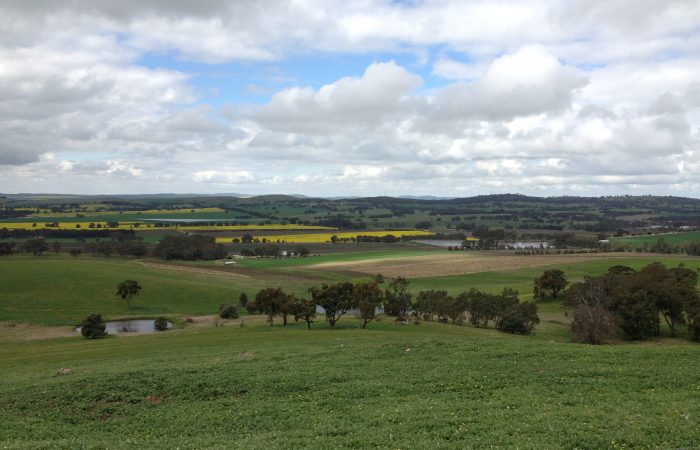 Clare Valley photo - September 2014