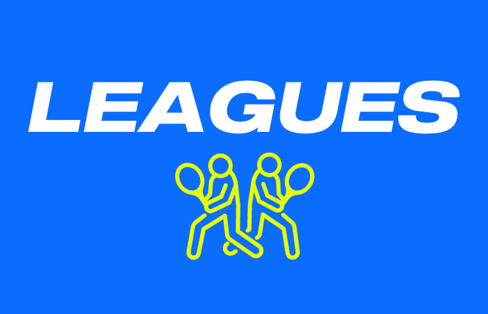 Leagues_WordPress_700 x 450
