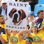 The Fanatics in Geelong show support for Bernard Tomic: Getty Images