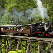 The Daphne Akhurst Memorial Cup takes a trip on Puffing Billy, an iconic steam train in Victoria's Dandenong Ranges; Bek Johnson