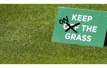 Grasscourt season open for business.