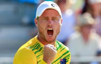 C'MON: Lleyton Hewitt celebrates during a Davis Cup tie in 2015. Picture: Getty Images